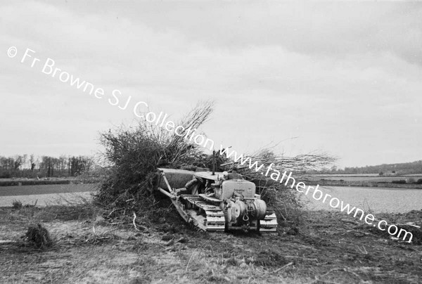 BULLDOZER  CLEARING SCRUB AND TREES